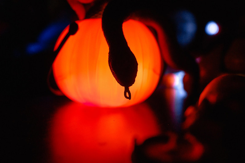 Украшение дома паутиной и летучими мышами к Хэллоуину в Кривому Розі